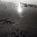 Contre-jour