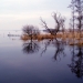 Herbauges 3